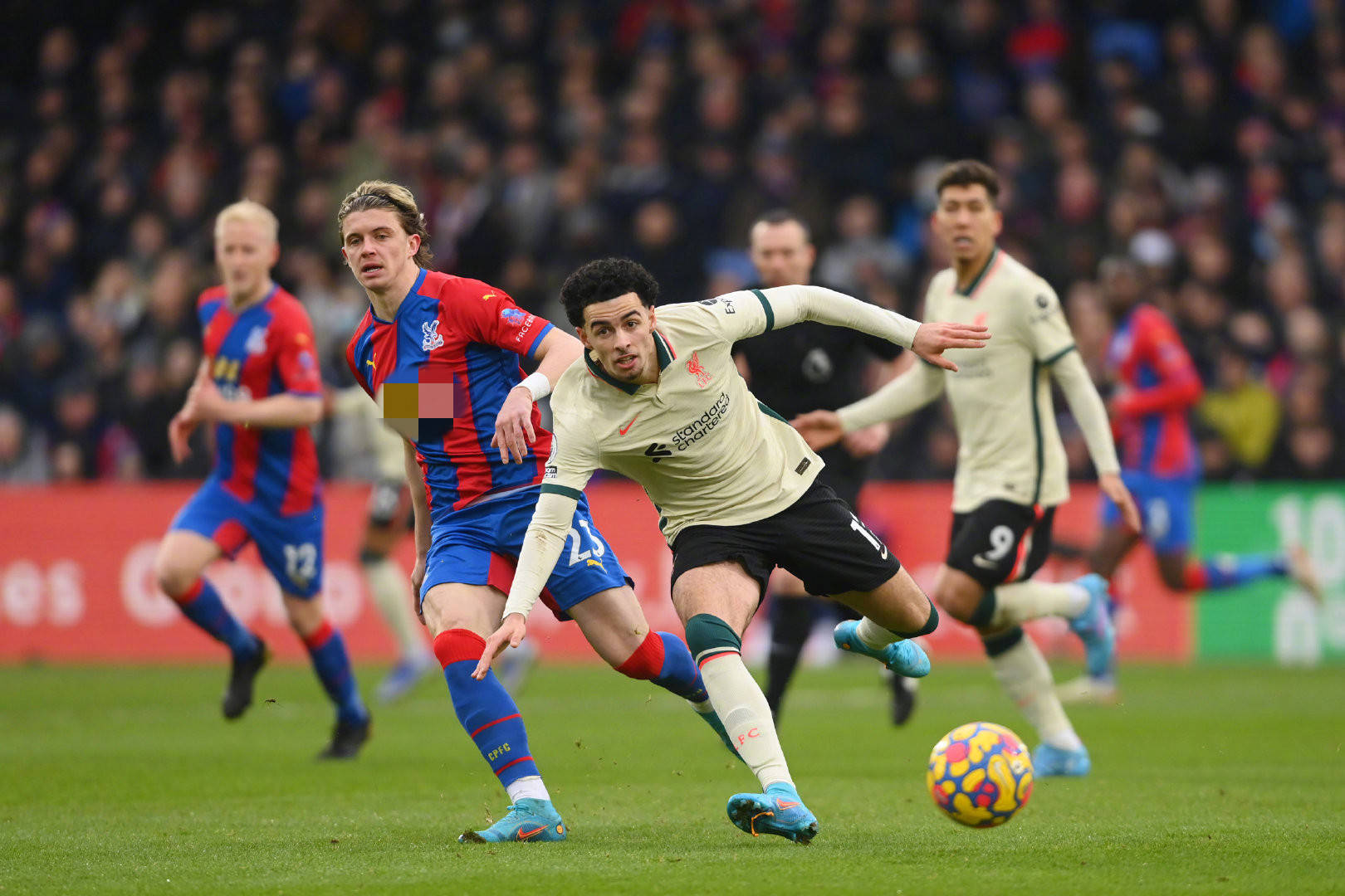 体质却意外 体质却意外